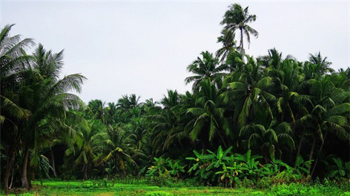 匆忙客中式快餐