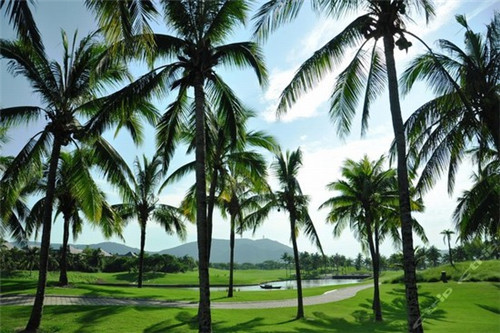 一粥一饭包子铺