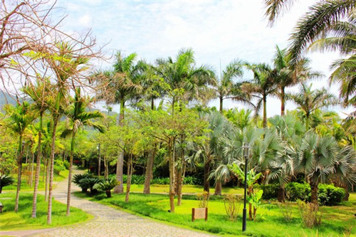有芝青年芝士焗饭
