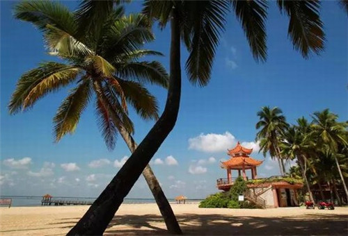 油煎豆腐炒酱料怎么炒（油煎豆腐调料汁）