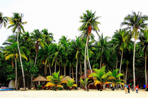 接书本小游戏怎么玩（传书接力游戏）